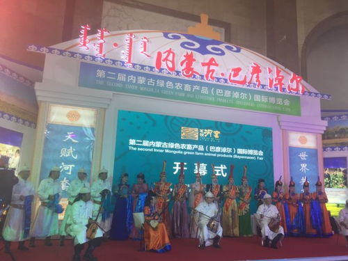 第二届内蒙古绿色农畜产品 巴彦淖尔 国际博览会在京举行